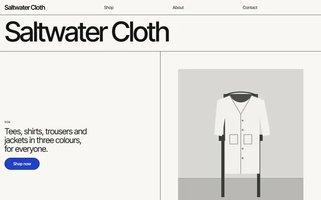 The Ledger design's home page, on a laptop and on a phone, with sample words and pictures.